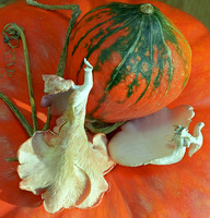 Squash and Mushrooms