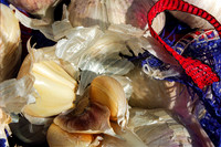 Garlic in the Bag