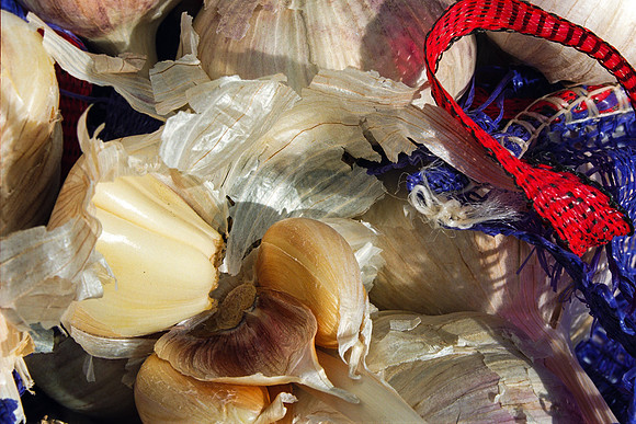 Garlic in the Bag