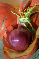 Red Onion and Squash