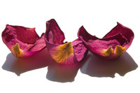 Rose Petal Trio