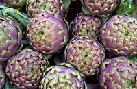 Artichokes in the Campo