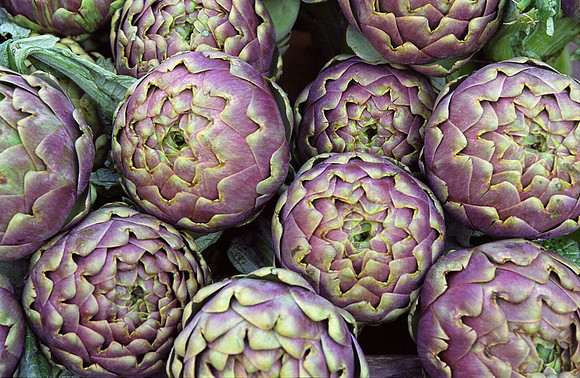 Artichokes in the Campo