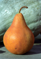 Pear and Hubbard