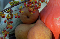 Repose-Pears and Squash