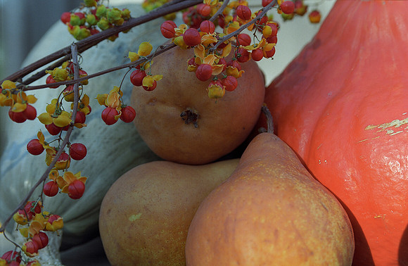 Repose-Pears and Squash