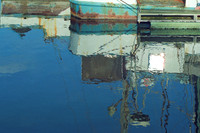 Marine Reflections