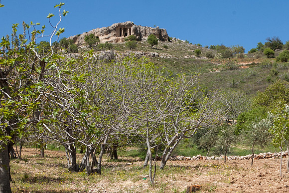 Almond Orchard and Entrance to Prehistoric Rock-cut Temple